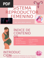 Sistema Reproductor Femenino