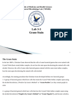 Lab 3-3 Gram Staining