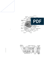 1585930984BD Cell Unit - 1.2