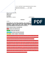 Revision Petition