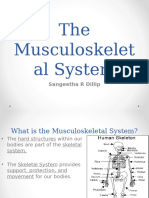 The Musculoskeletal System1