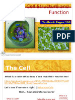 Cell Structure and Function