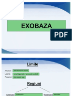 EXOBAZA