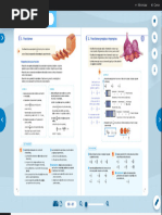 Aplicaciones - AV4