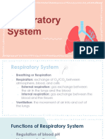 08 - Respiratory System