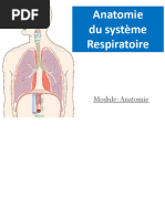 5 - Anatomie Du Systeme Respiratoire