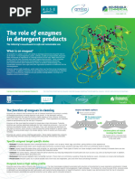 Enzymes Factsheet