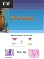 Antibioticos 2024