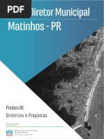 Produto 06 - Diretrizes e Propostas 