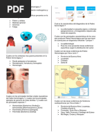 Virus Productores de Fiebre Hemorrágica