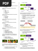 Seminario 9.1