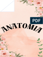 Anatomia