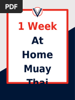 1 Week at Home Muay Thai Guide - Virtus