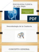 PRESENTACION NEUROPSICOLOGIA Actualizada