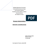 Informe Interpretativo Derecho Constitucional