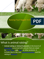 TLE 6 AGRI Animal Raising