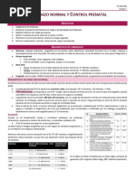 C6 Embarazo Normal y Control Prenatal