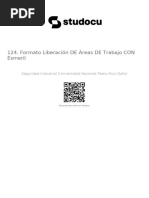 124 Formato Liberacion de Areas de Trabajo Con Esmeril