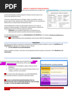 3-Benzodiazepinas - Resumen 2