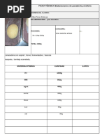 FICHA TÉCNICA PAN - Docx-1