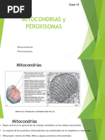 10-Mitocondrias y Peroxisomas