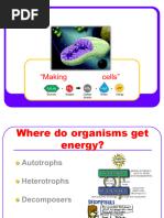 Cell Respiration