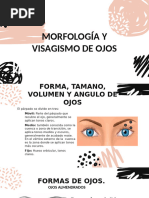 Morfologia y Visagismo de Ojos Morty