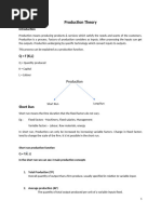 Production Theory