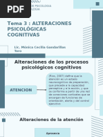 Tema 3 Alteraciones Procesos Psicológicos Cognitivos en Psicopatología