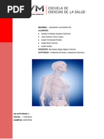 Anatomia de Torax y Abdomen Huesos