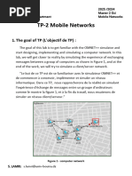 TP-2 - Mobile Networks