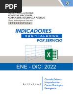 Indicadores Por Servicio HNAAA 2022