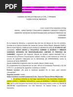 Consumo. Daño Auto Bodega. Daño Moral Presume Turista. Deposito. Hotelero. Daño Punitivo Admite Indigno