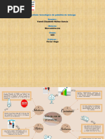 Mapa-Mental-Ciclo-De-La-Vida-De-Un-Producto y