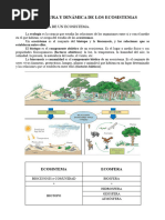 Los Ecosistemas