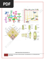 Class 12 Biology Study Material (2024-2025)