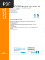 MC Ferroelectric Domains