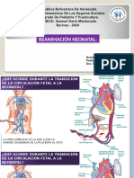 Reaminación Neonatal - Yulei