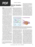 Rethinking Behavior Genetics