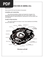 Structure of Animal Cell