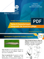 Tarea 3 - Oplemento - Jaider Osorio