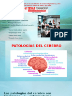 Diapositivas Patologias Cerebro