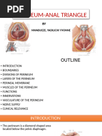 Perineum Anal Triangle