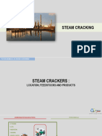 Petrochemicals Steam Cracking