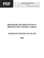 Programa de Prevencion y Proteccion Contra Caidas