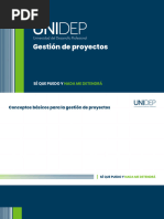 1características de Los Proyectos y Su Gestión