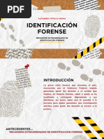 Identificación Forense