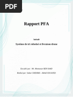 Rapport PFA 1 2