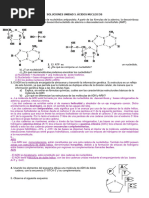 Soluciones Unidad 5. Ácidos Nucleicos