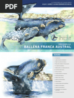 Ballena Franca